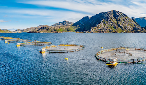 wonder motors For aquaculture
